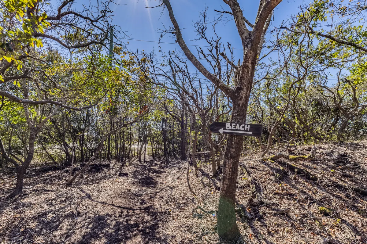 A signpost points toward the beach along a tree-lined pathway, evoking a sense of adventure and ease of access to the shoreline. The sun filters through the trees, creating a serene and inviting approach to local exploration.